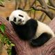 Image for article titled There's More Than One Way to Sleep